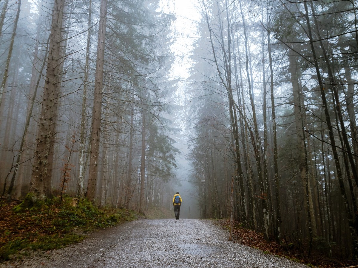 Why You Should Just Write the Next Song (and when you&nbsp;shouldn’t)